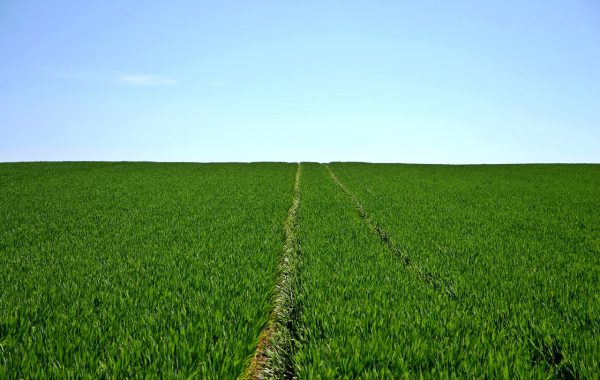 Land Titles and Registration