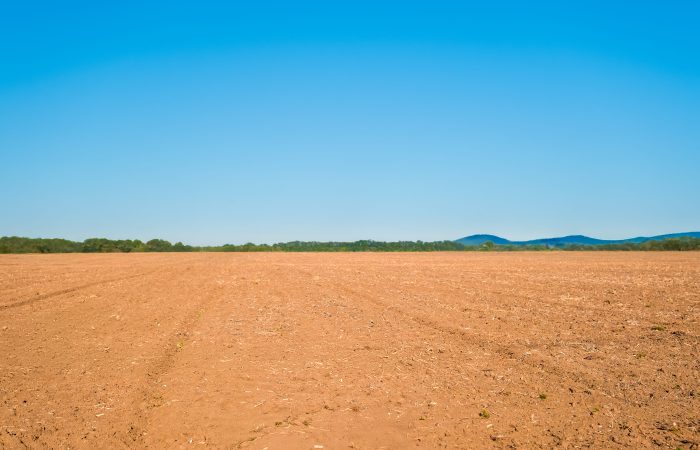 Buying land in Ghana